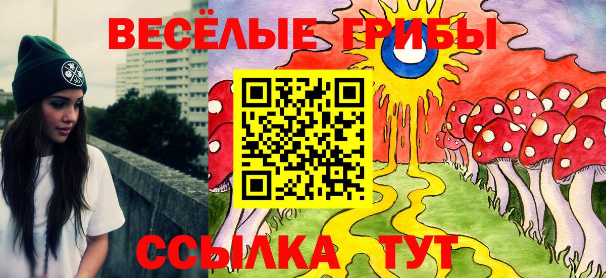 Кинель  Псилоцибиновые грибы Psilocybe  Вход с VPN 