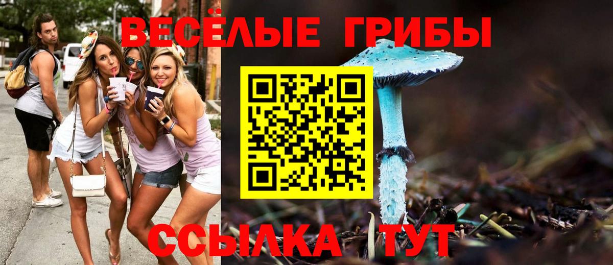 Галлюциногенные грибы GOLDEN TEACHER Кинель