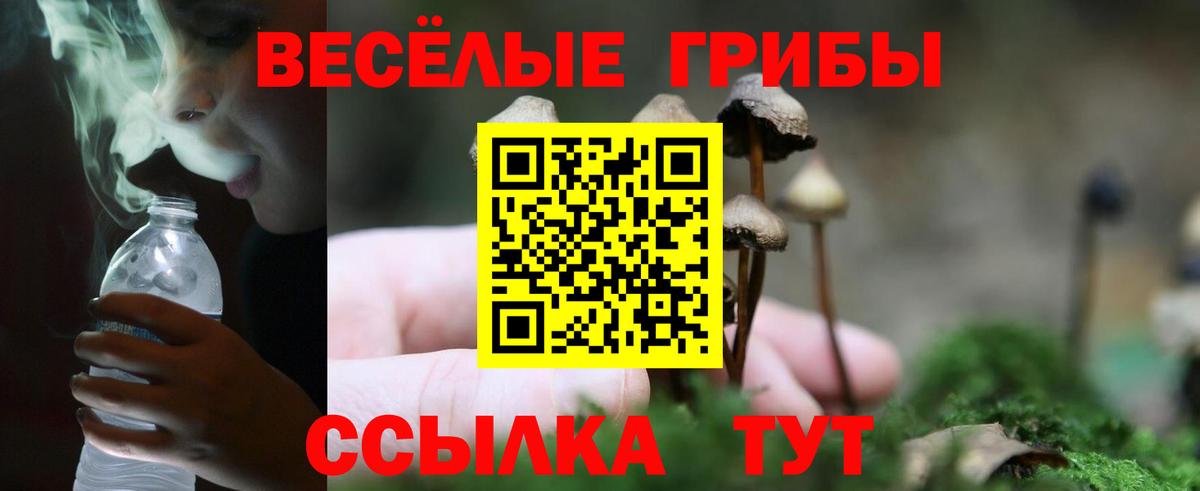 А ПВП Кинель